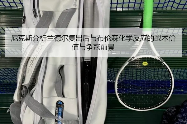 尼克斯分析兰德尔复出后与布伦森化学反应的战术价值与争冠前景