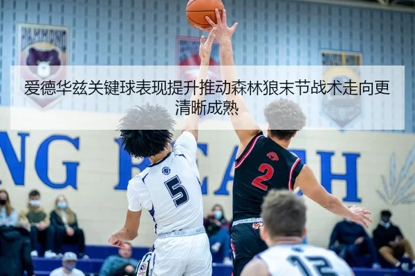 爱德华兹关键球表现提升推动森林狼末节战术走向更清晰成熟